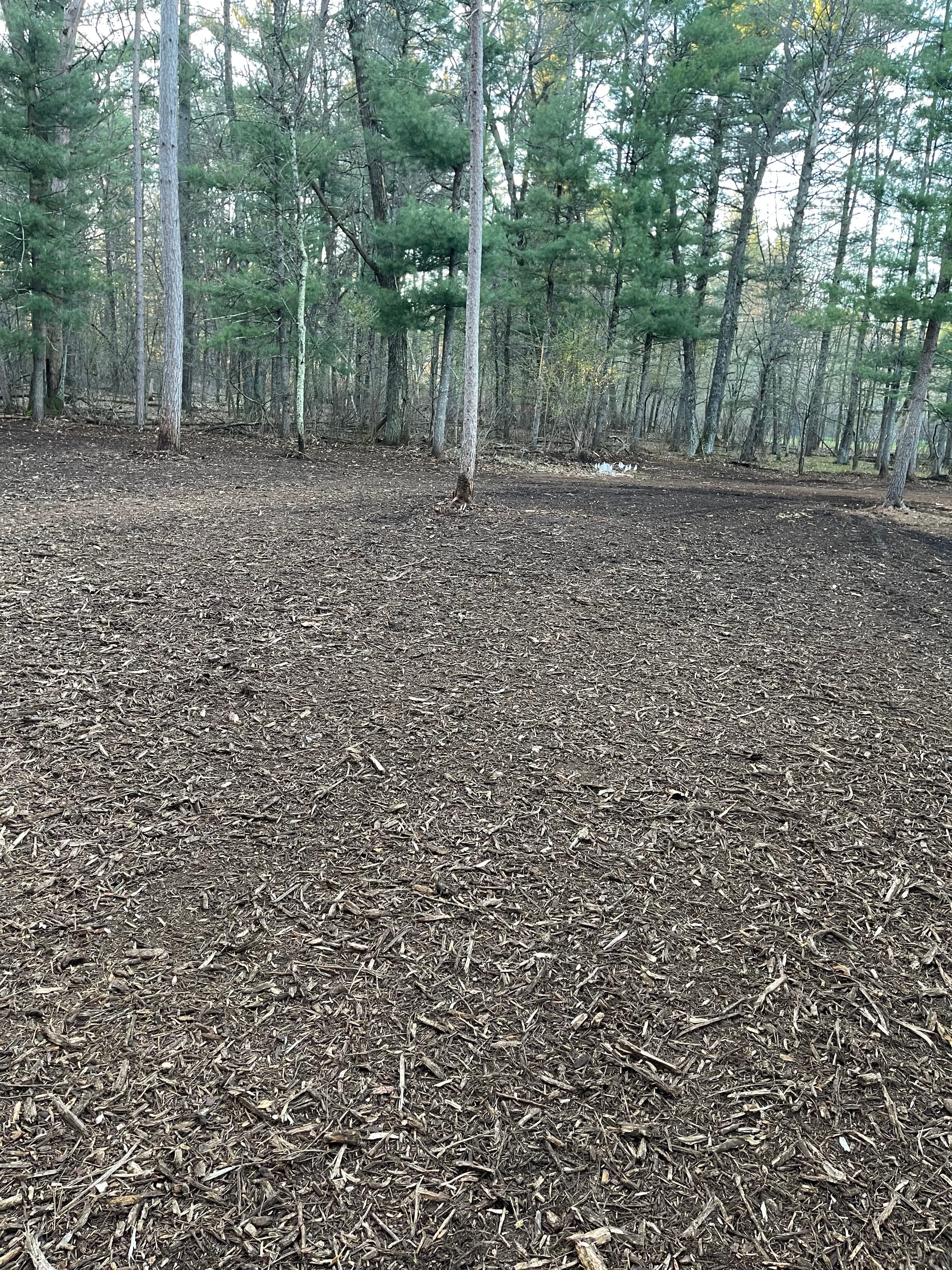 Project Backyard Brush Clearing Done Right in Kronenwetter image