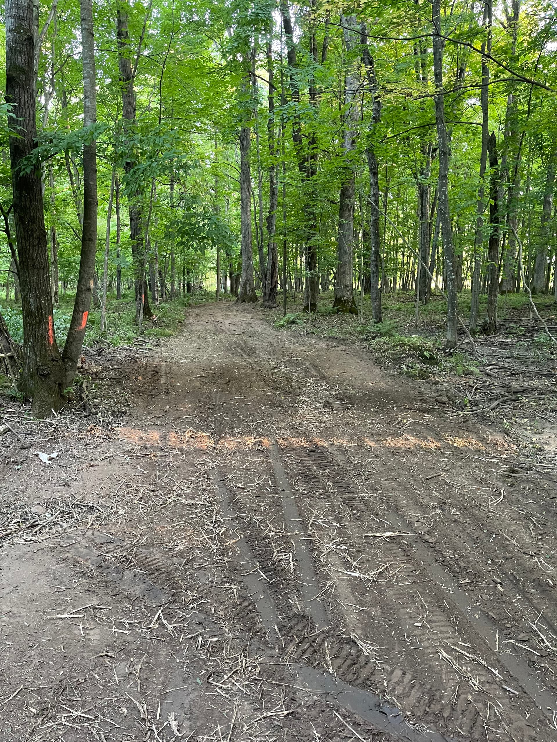 Gallery photos for Farm Trail Cleared and Opened Up in Loyal: Image #3