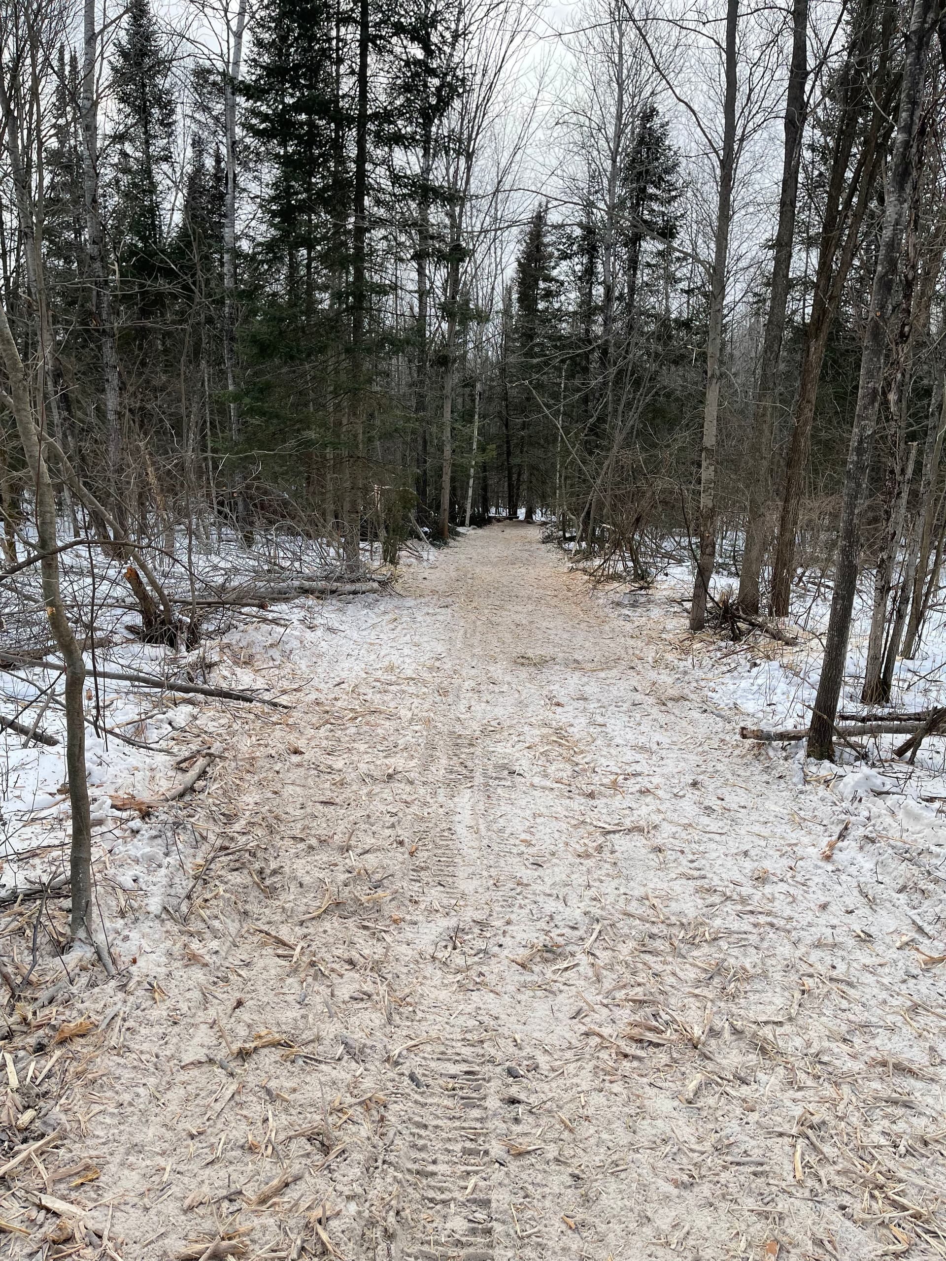 Gallery photos for Forest Trail Creation in Mosinee: Image #2