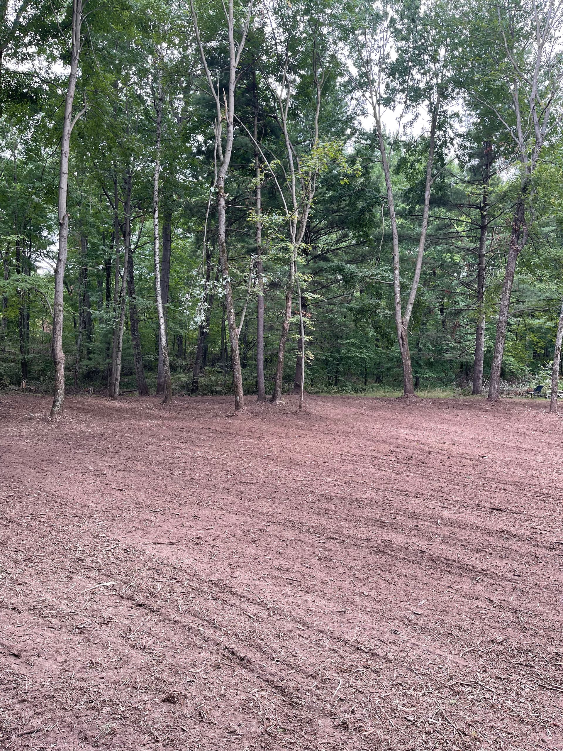 Gallery photos for Forestry Mulching Opens Up Overgrown Front Yard Near Pallen Lake: Image #6