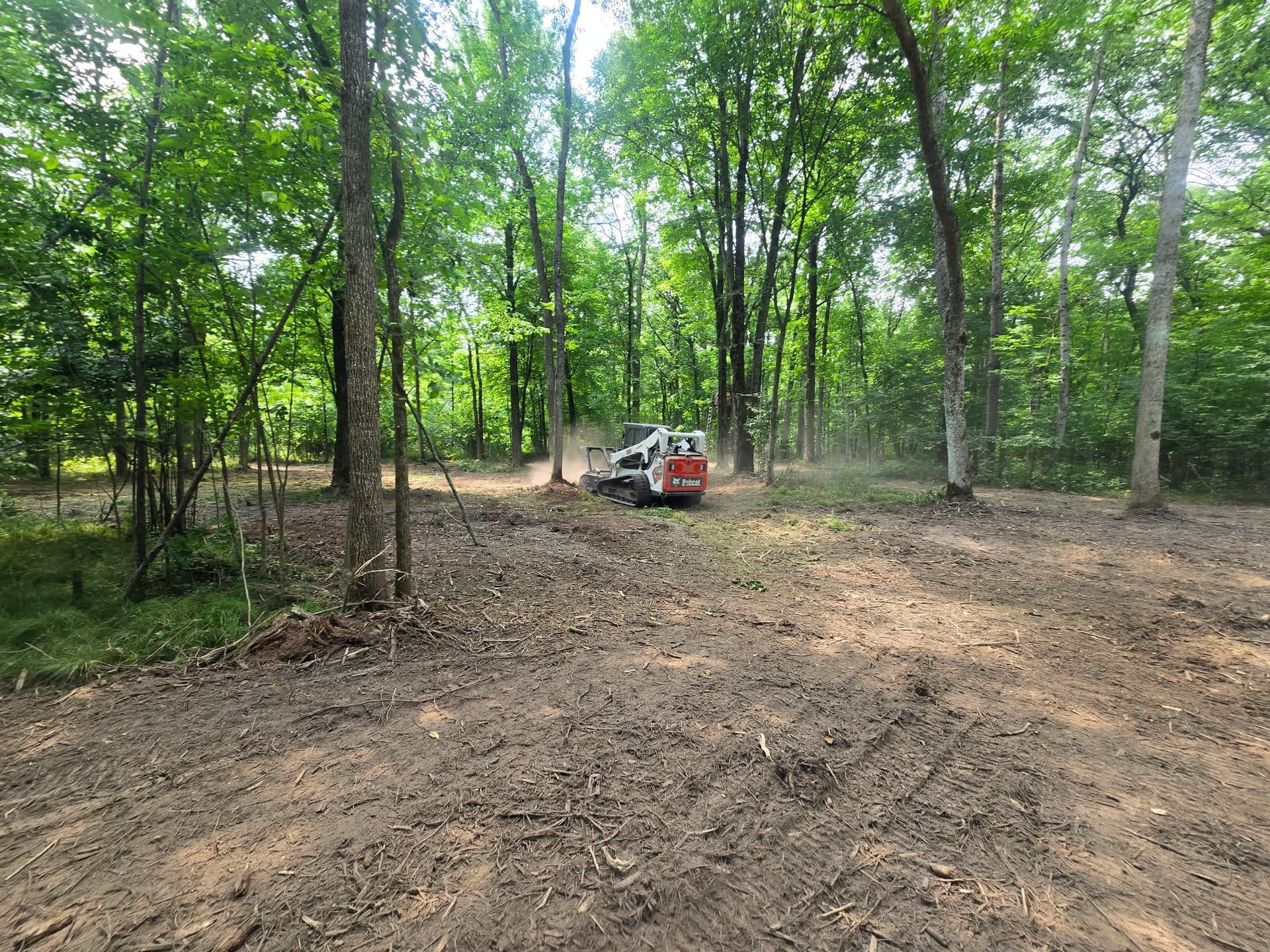 Forestry Mulching for Hunting Season Prep Near Loyal image