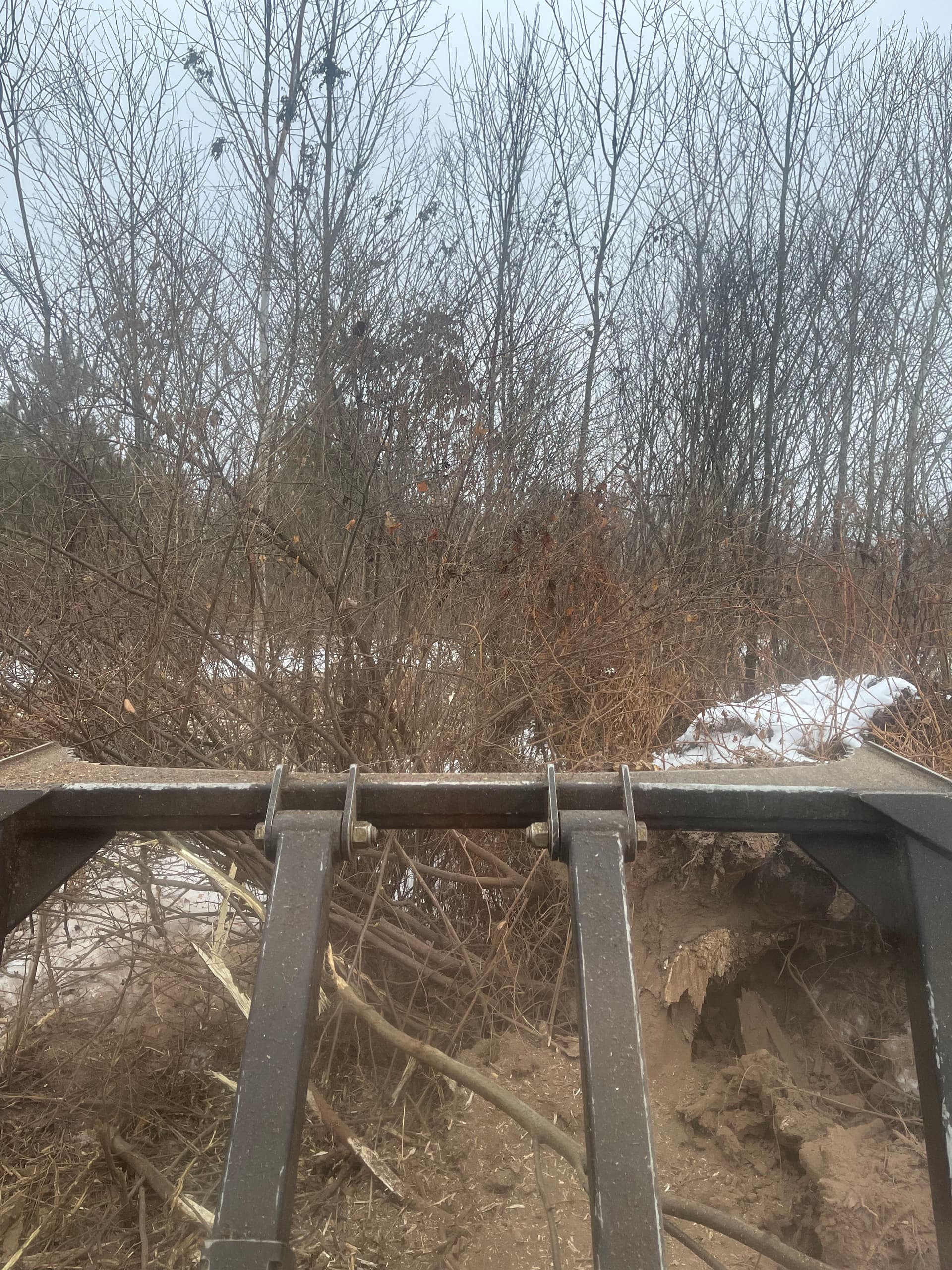 Gallery photos for Land Clearing Success with Forestry Mulching on Pesabic Lake: Image #3