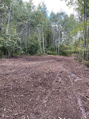 Gallery photos for Mosinee Trails Enhanced with Expert Forestry Mulching: Image #1
