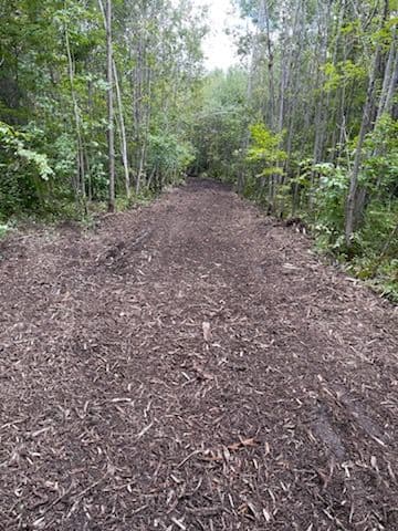 Gallery photos for Mosinee Trails Enhanced with Expert Forestry Mulching: Image #2