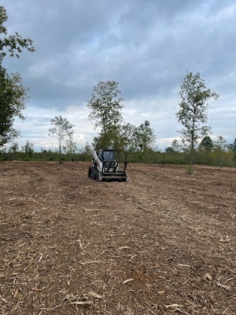 Transforming Land Through Expert Forestry Mulching image