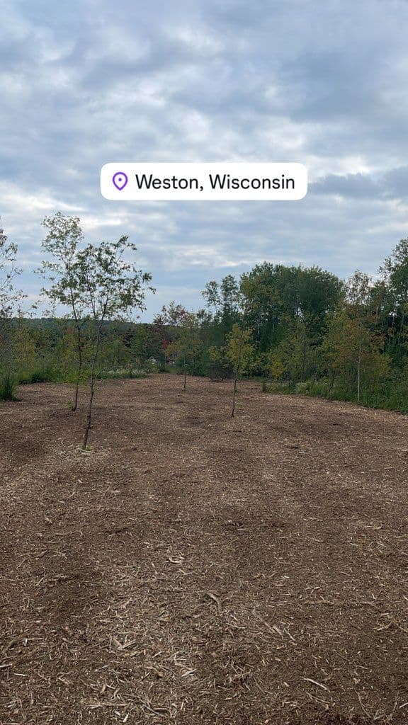 Gallery photos for Transforming Land Through Expert Forestry Mulching: Image #1