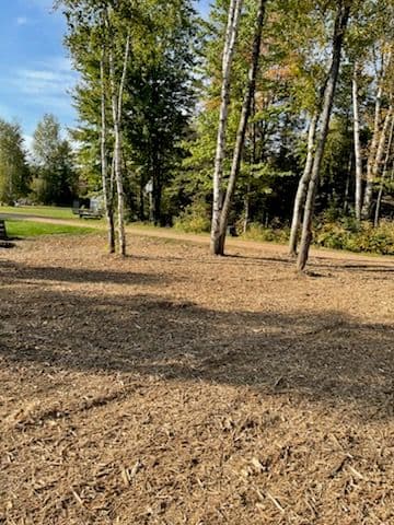 Forestry Mulching Magic Transforms Front Yard image