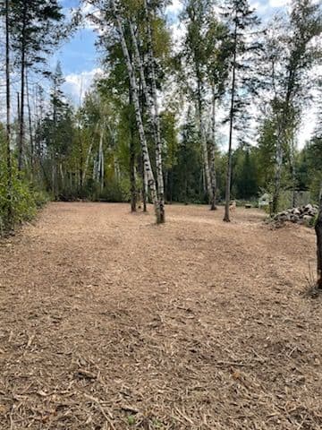 Gallery photos for Forestry Mulching Magic Transforms Front Yard: Image #2