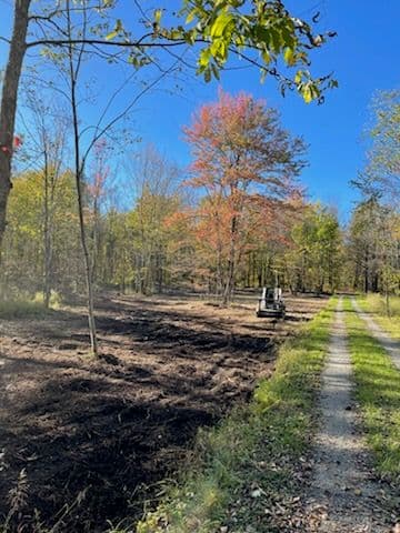 Forestry Mulching Enhances Land in Merrill-Medford image
