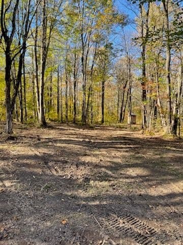 Gallery photos for Forestry Mulching Enhances Land in Merrill-Medford: Image #2