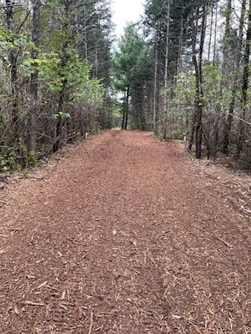 Gallery photos for Forestry Mulching Project at Bear Creek: Image #2