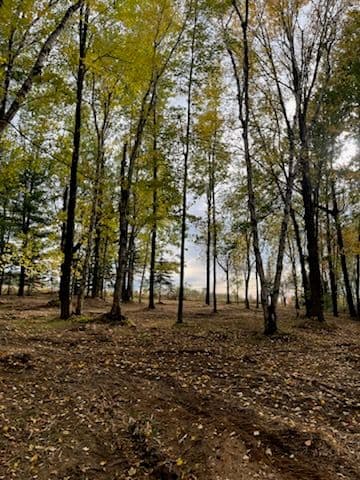 Gallery photos for Forestry Mulching Mastery in Wausau: Image #1
