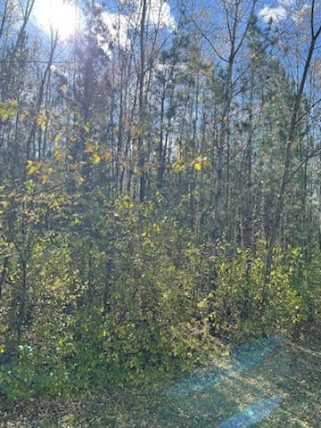 Gallery photos for Forestry Mulching Project in Rib Mountain: Image #1