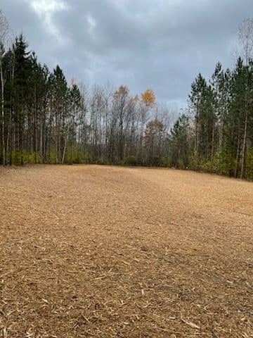 Gallery photos for Forestry Mulching Project in Rib Mountain: Image #2