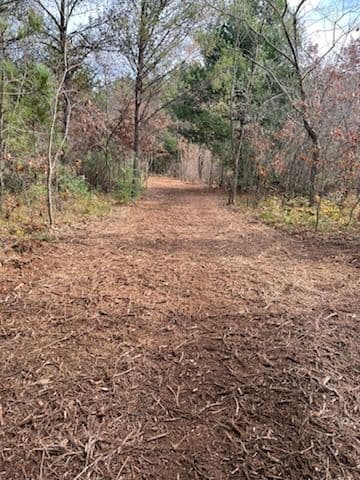 Project New Nature Trails Near Lake DuBay Mosinee image