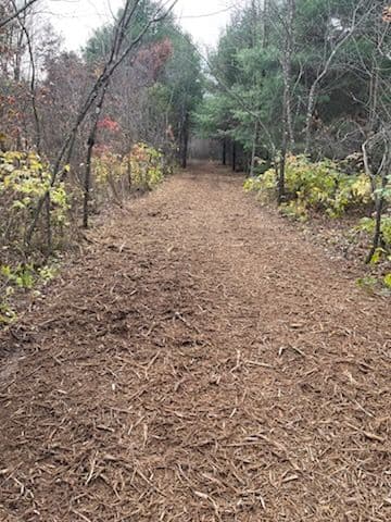 Gallery photos for New Nature Trails Near Lake DuBay Mosinee: Image #1