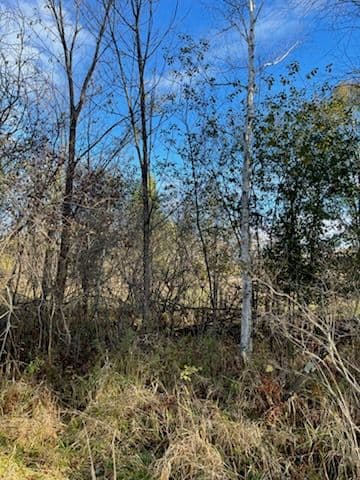 Project Forestry Mulching at Wolf River Game Farm in Shiocton image