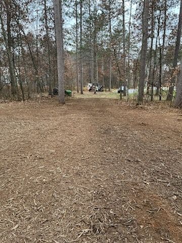 Backyard Forestry Mulching in Mosinee image