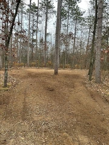 Gallery photos for Backyard Forestry Mulching in Mosinee: Image #1