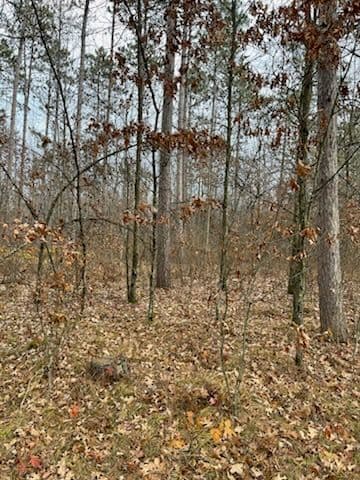 Gallery photos for Backyard Forestry Mulching in Mosinee: Image #2