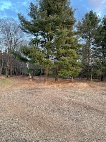 Project Forestry Mulching Project in Marathon Clears Path for Stunning Landscapes image