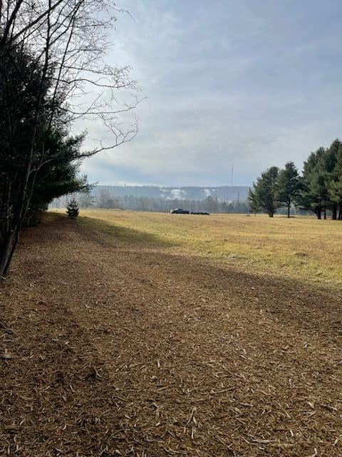 Project Land Clearing in Rib Mountain image