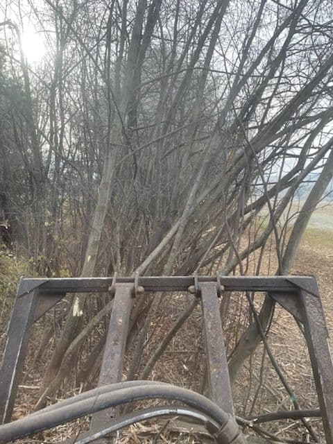 Gallery photos for Land Clearing in Rib Mountain: Image #2