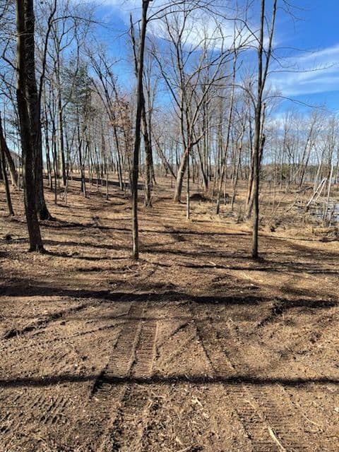 Project Land Clearing and Forestry Mulching in Almond image