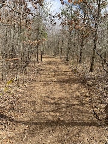 Project Golf Cart Trail Construction in Nature image