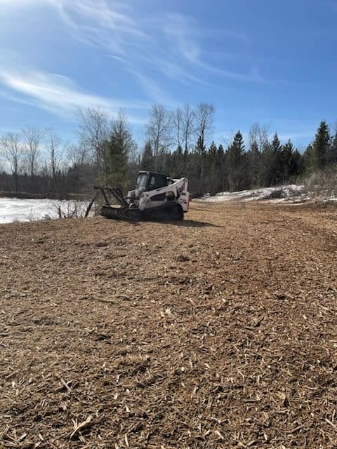 Project Transforming Gleason Woods with Advanced Forestry Mulching image
