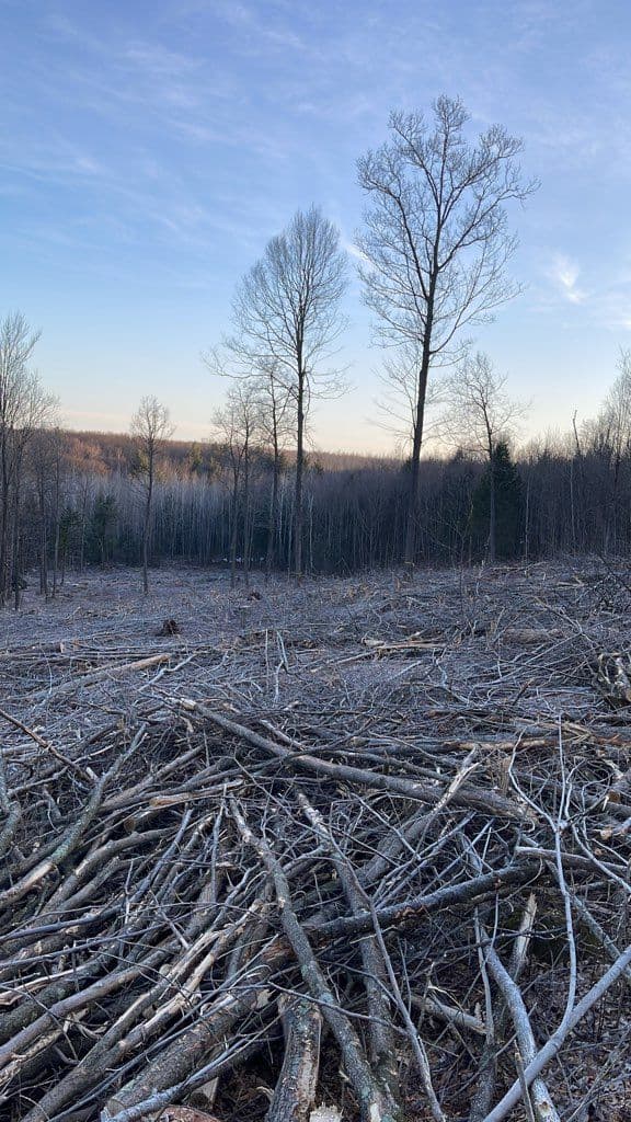 Project Effortless Land Clearing for Wausau Club image