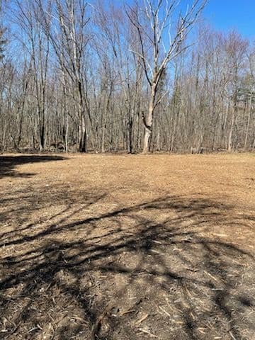 Gallery photos for Forest Transformed into Open Space Stevens Point: Image #1