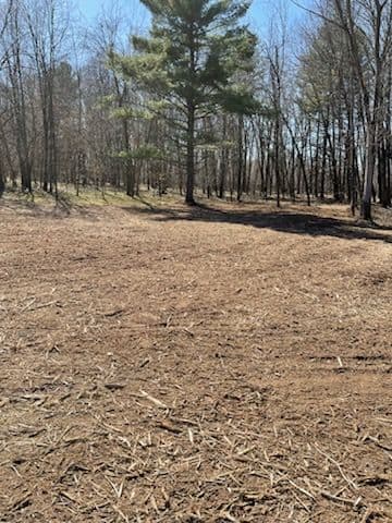 Gallery photos for Forest Transformed into Open Space Stevens Point: Image #2