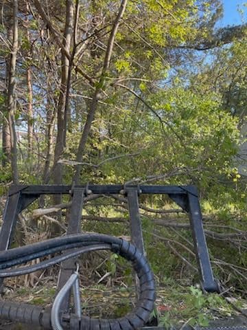 Gallery photos for Forestry Mulching Success in Athens WI: Image #2