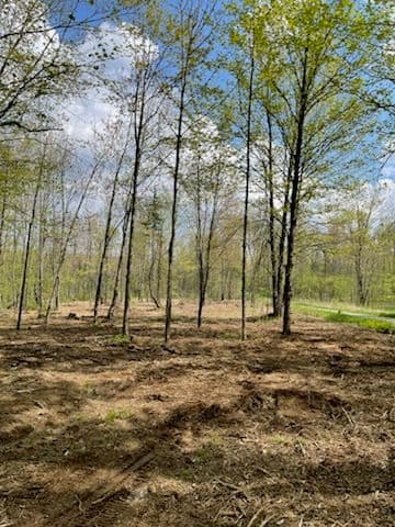 Transformative Forestry Mulching Near Merrill image
