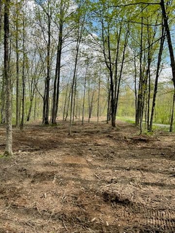 Gallery photos for Transformative Forestry Mulching Near Merrill: Image #1