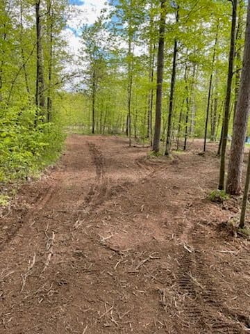 Project Mosinee Backyard Transformed with Forestry Mulching image
