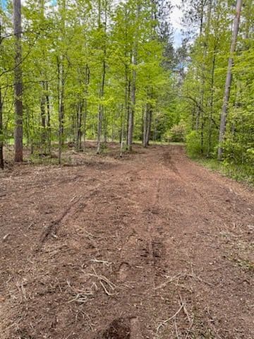 Gallery photos for Mosinee Backyard Transformed with Forestry Mulching: Image #2
