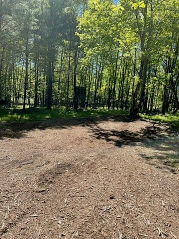 Enhancing Trails with Expert Forestry Mulching in Bevent image