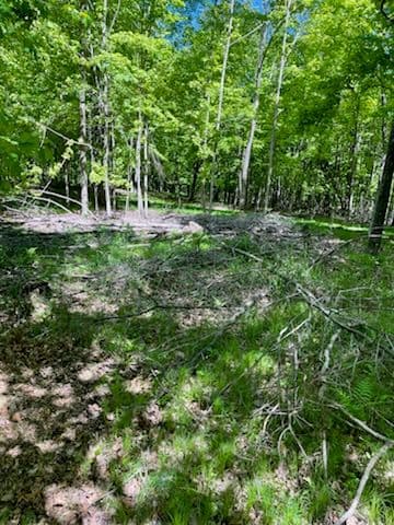 Gallery photos for Enhancing Trails with Expert Forestry Mulching in Bevent: Image #1