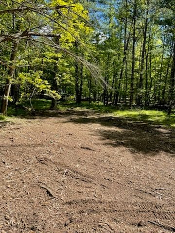 Gallery photos for Enhancing Trails with Expert Forestry Mulching in Bevent: Image #2
