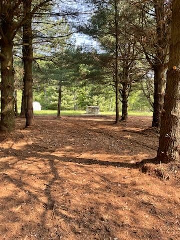Gallery photos for Transformative Forestry Mulching at Rib Mountain: Image #1