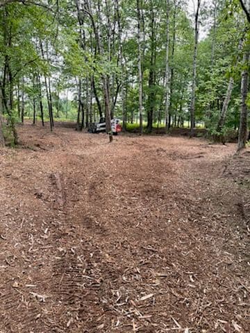 Gallery photos for Rib Mountain Land Transformed by Forestry Mulching: Image #1
