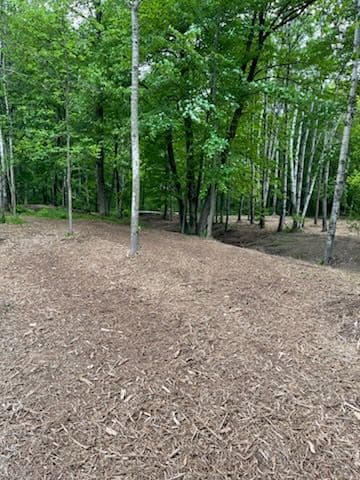 Gallery photos for Rib Mountain Land Transformed by Forestry Mulching: Image #2