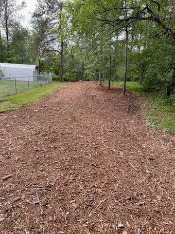 Forestry Mulching Transformation in Wausau image