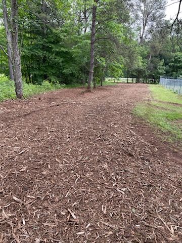 Gallery photos for Forestry Mulching Transformation in Wausau: Image #1