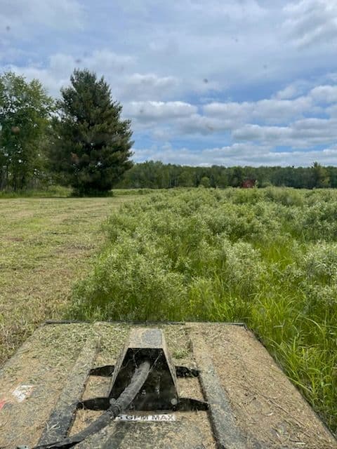 Gallery photos for 25-Acre Brush Clearing Triumph Near Eau Claire: Image #1