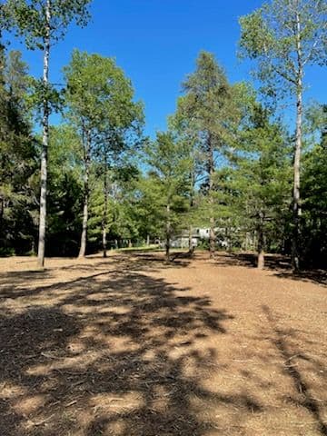 Forestry Mulching Transformation Northward image