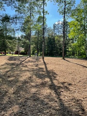 Gallery photos for Forestry Mulching Transformation Northward: Image #1