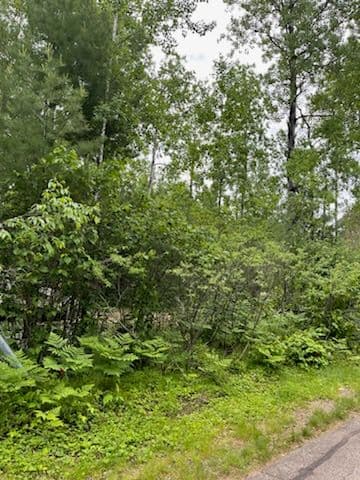 Gallery photos for Forestry Mulching Transformation Northward: Image #2